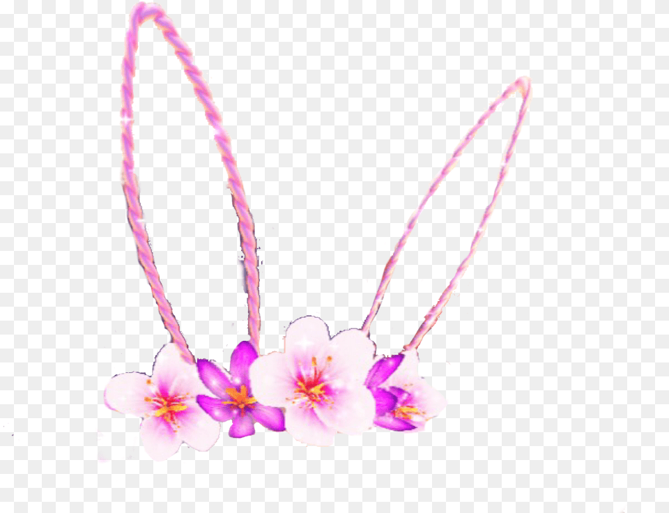 Bunnyrabbit Bunny Bunnyears Snapchat Snapchatfilter Moth Orchid, Accessories, Plant, Petal, Purple Png Image