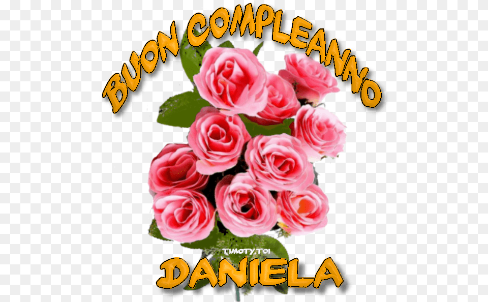 Buon Compleanno Daniela, Rose, Flower, Flower Arrangement, Flower Bouquet Free Png