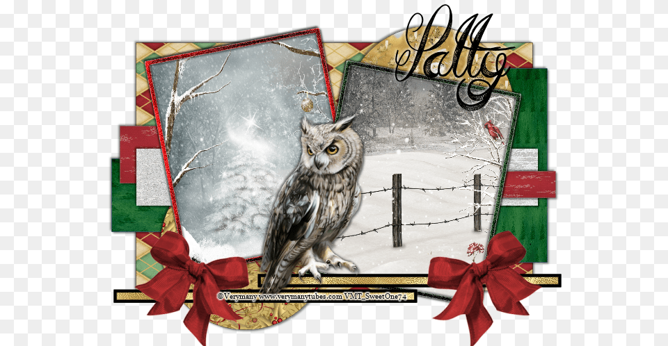 Buono, Animal, Bird, Envelope, Greeting Card Free Png Download