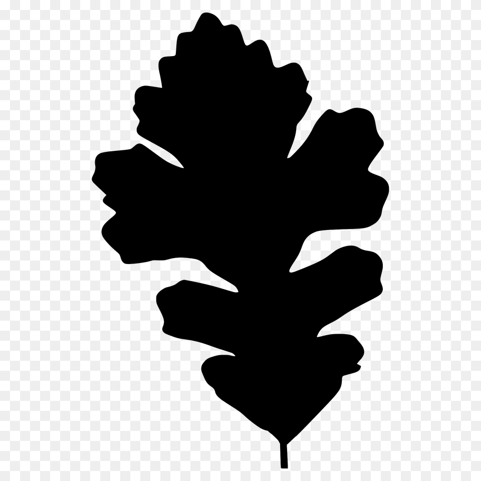 Bur Oak Leaf Silhouette, Plant, Stencil Free Transparent Png