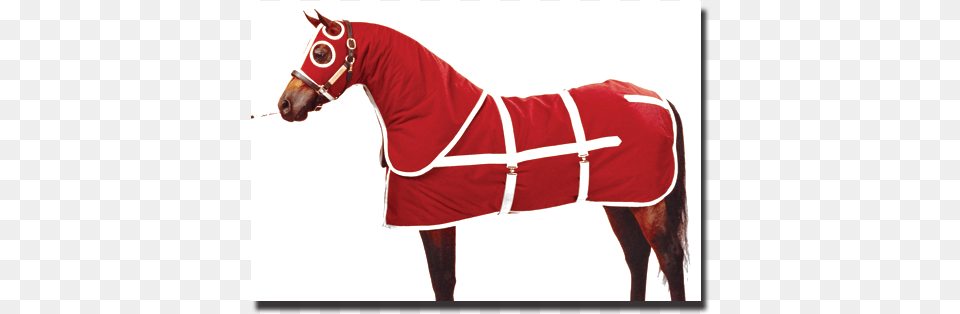 Burgandy Amp White Show Coat Blanket With Zipper Hood Mare, Clothing, Lifejacket, Vest, Animal Free Png Download