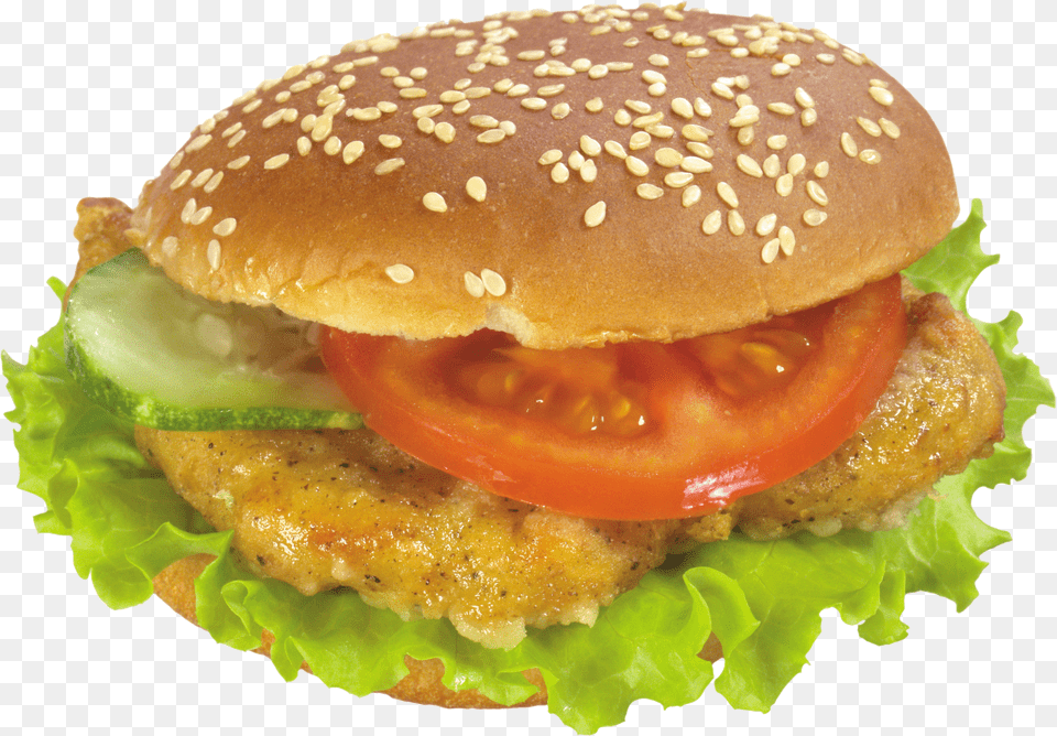 Burger Sandwich Png Image