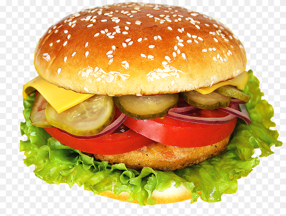 Burger Sandwich Png Image