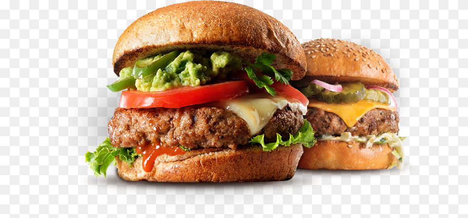 Burger Transparent Turkey Burger And Fries, Food Free Png Download