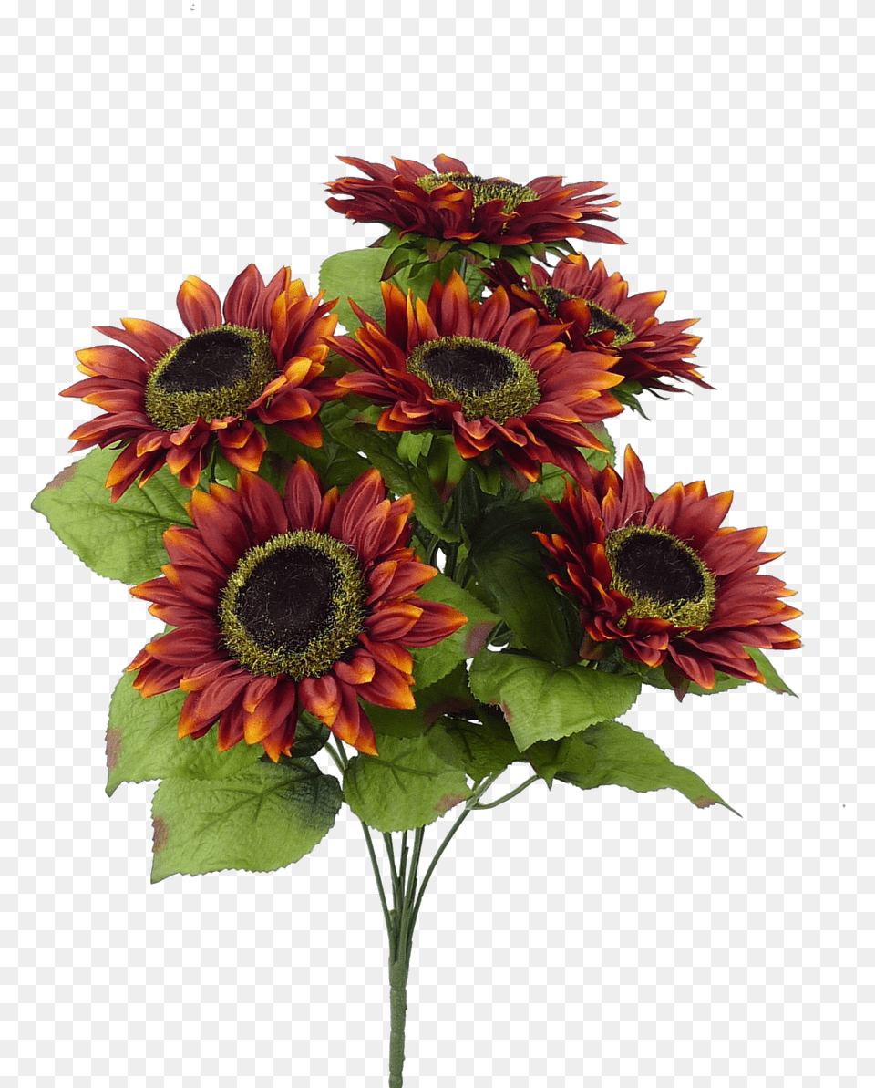 Burgundy, Flower, Flower Arrangement, Flower Bouquet, Plant Free Transparent Png