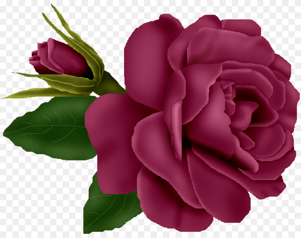 Burgundy Rose Clip Art Cliparts, Flower, Plant Free Png