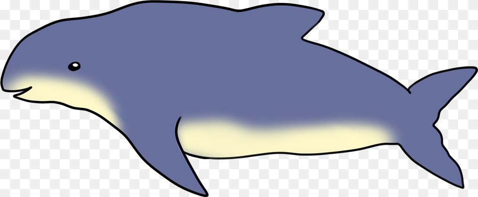 Burmeisters Porpoise Porpoise, Animal, Sea Life, Dolphin, Mammal Free Transparent Png