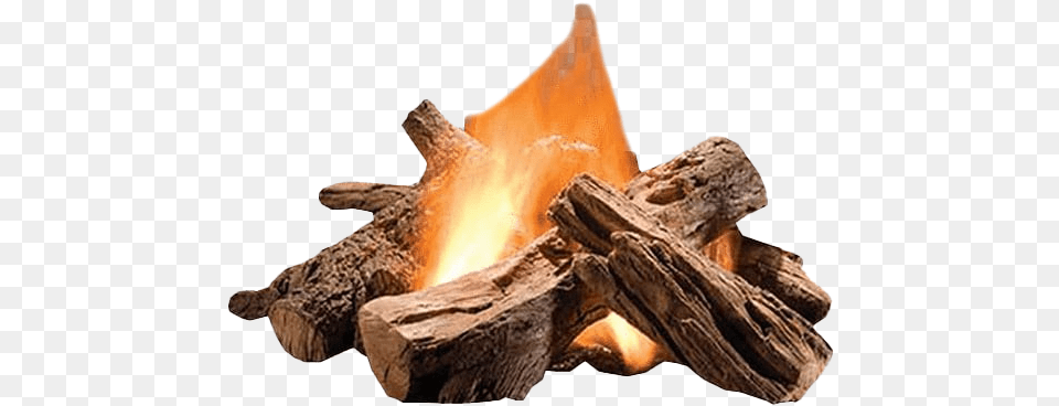 Burning Firewood Bonfire, Fire, Flame, Wood Free Transparent Png
