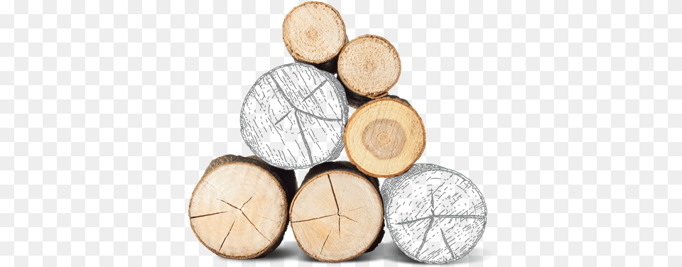 Burning Hardwood Logs Efficiently Is A Major Source Sajam Namestaja Beograd 2017, Lumber, Wood, Plant, Tree Free Png
