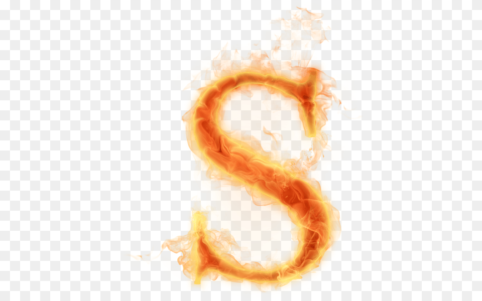 Burning Letter S Letter S Fire, Flame, Outdoors, Flower, Plant Png Image