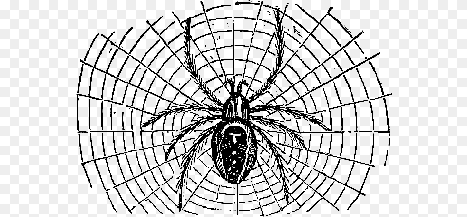 Burning Man Map Miles, Spider Web Free Transparent Png