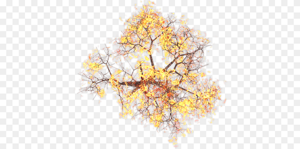 Burning Tree Autumn, Chandelier, Lamp Png