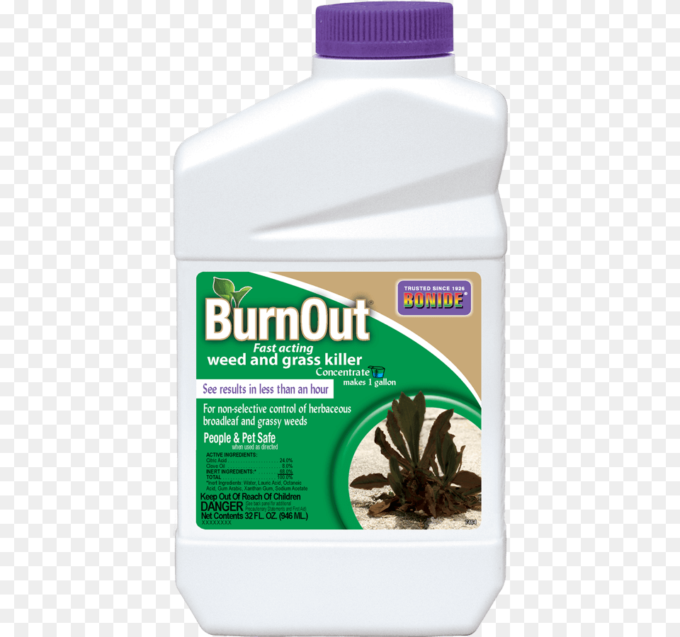 Burnout Conc Bonide Burnout, Herbal, Herbs, Plant, Potted Plant Free Png Download