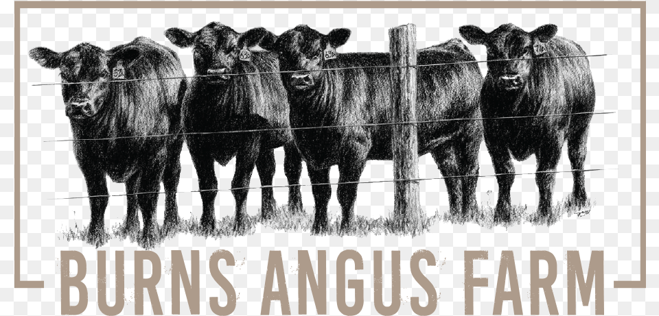 Burns Angus Farm Logo Cow Fabric Quilt Panel, Animal, Bull, Cattle, Livestock Free Transparent Png