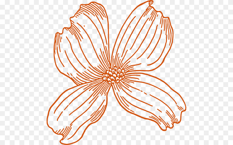 Burnt Orange Flower Svg Clip Arts Dogwood Clip Art, Anther, Petal, Plant, Anemone Free Transparent Png