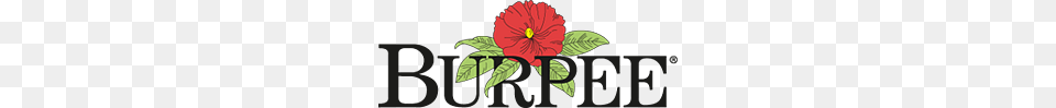 Burpee Logo, Flower, Plant, Hibiscus Png Image