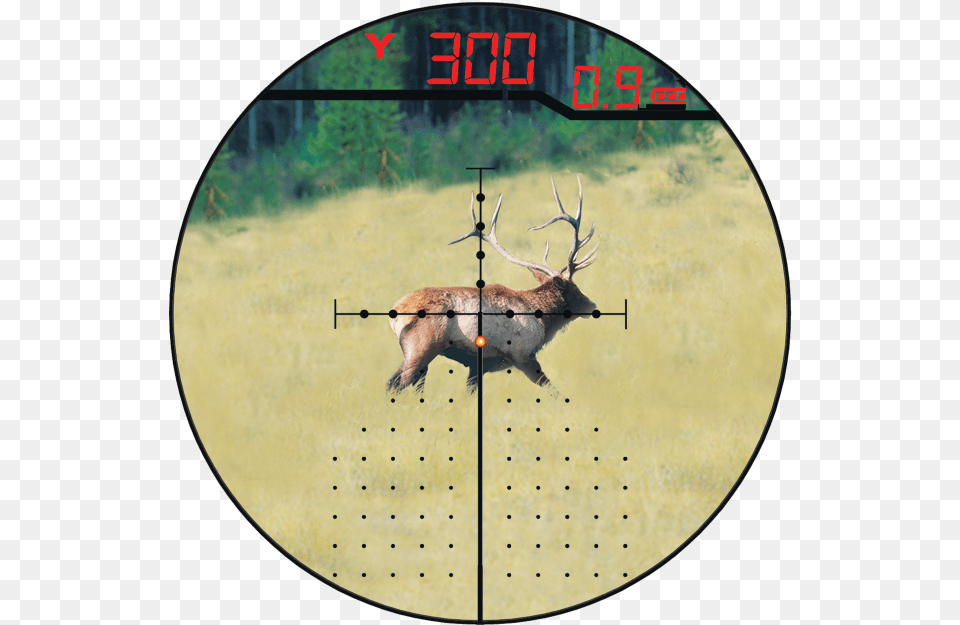 Burris Eliminator, Animal, Deer, Mammal, Wildlife Png