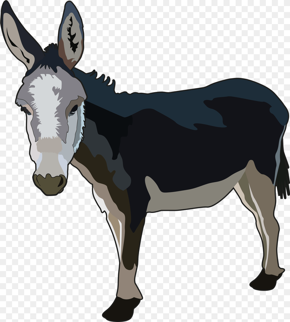 Burrito De Ciencias, Animal, Donkey, Mammal, Kangaroo Free Transparent Png