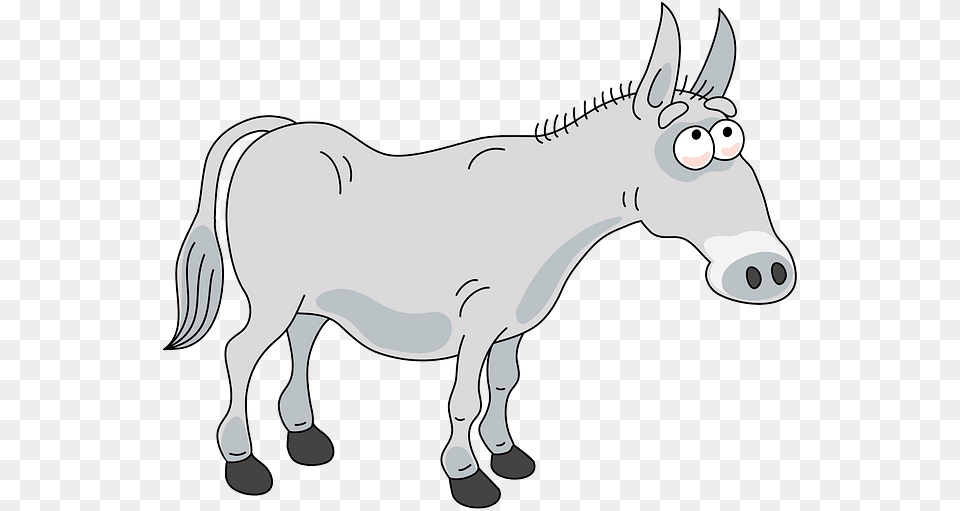 Burro, Animal, Donkey, Mammal, Kangaroo Free Transparent Png