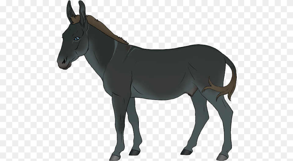 Burro, Animal, Donkey, Mammal, Horse Free Transparent Png