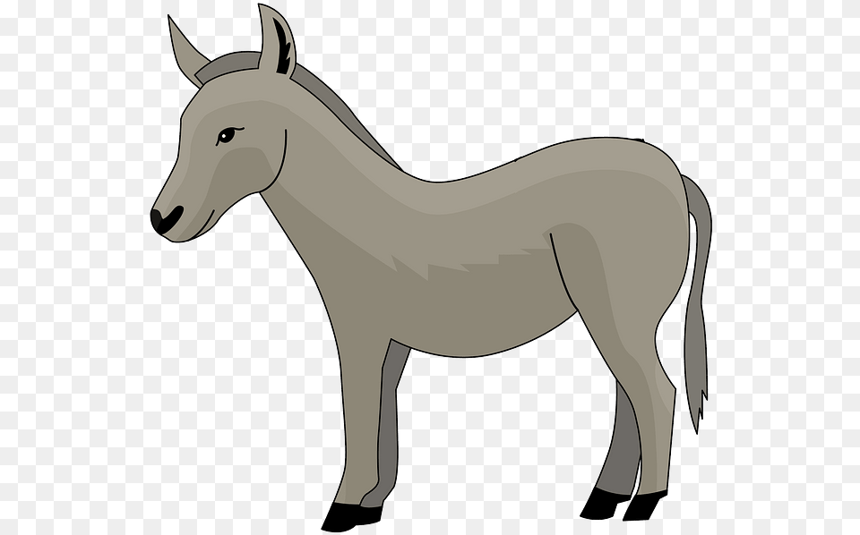 Burro, Animal, Colt Horse, Horse, Mammal Free Png