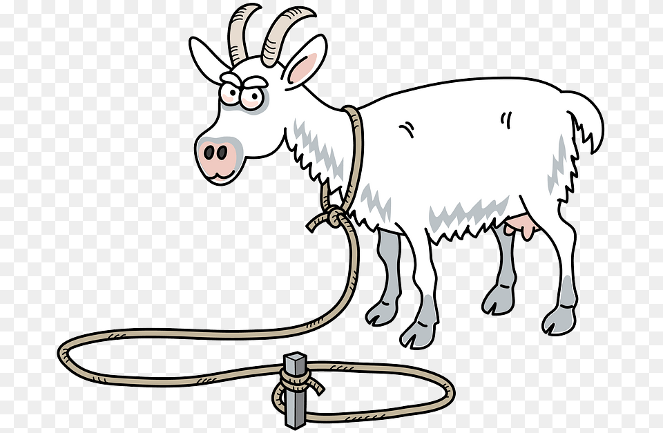 Burro, Livestock, Animal, Goat, Mammal Png Image