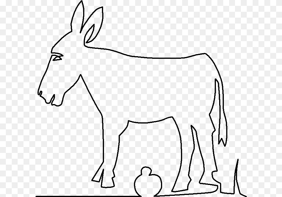 Burro Donkey, Gray Free Png