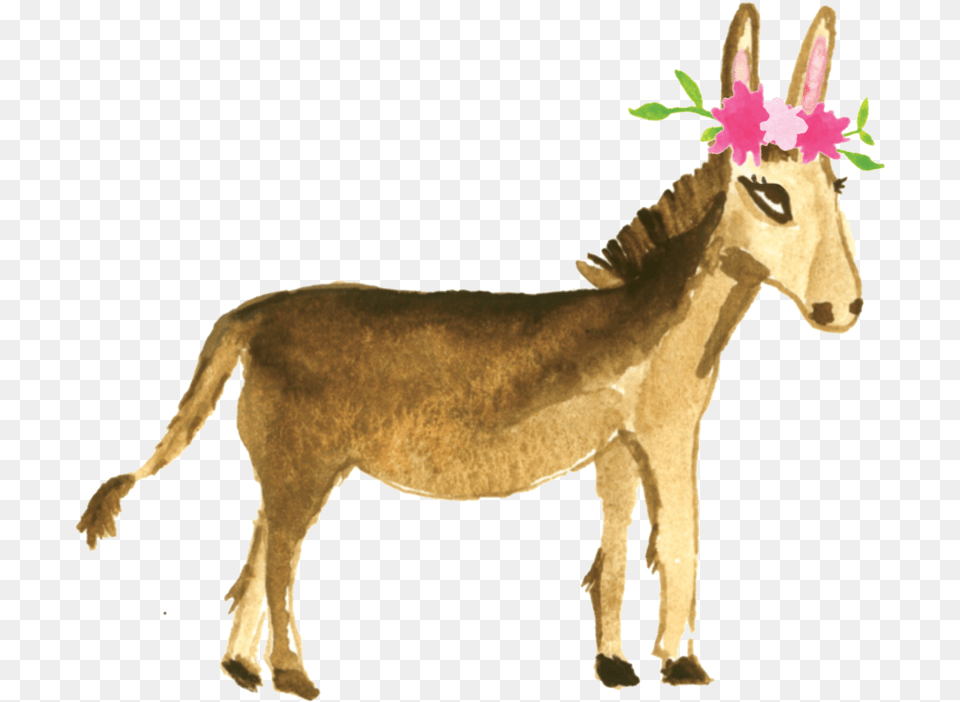 Burro Pampas Deer, Animal, Donkey, Mammal, Horse Free Png