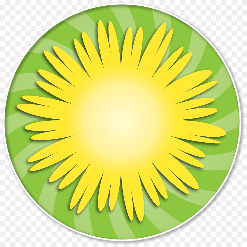 Burst Clipart, Flower, Plant, Daisy, Petal Png Image