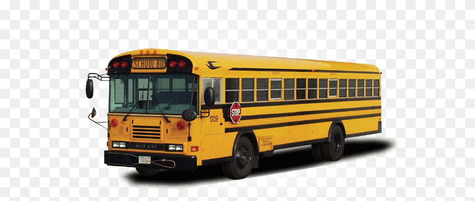 Bus, School Bus, Transportation, Vehicle, License Plate Png