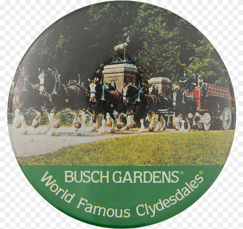 Busch Gardens World Famous Clydesdales Horse Supplies, Person, Animal, Mammal, Machine Free Transparent Png