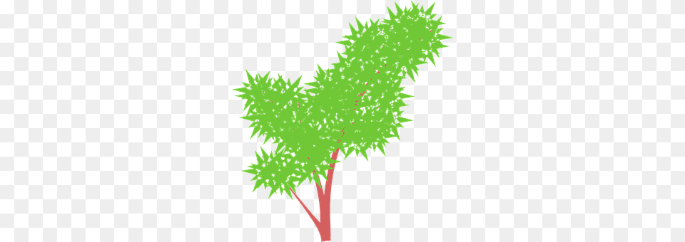Bush Green, Plant, Tree, Grass Png