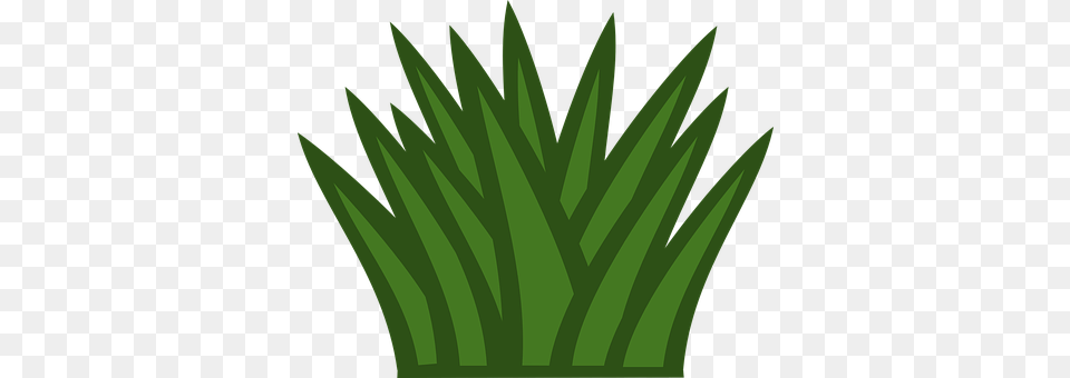 Bush Grass, Green, Leaf, Plant Free Transparent Png