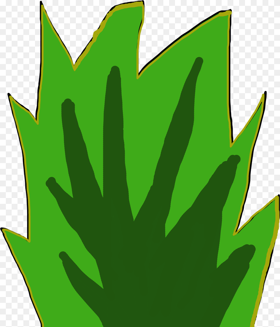 Bush, Green, Leaf, Plant, Person Free Png Download