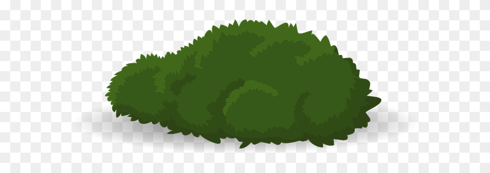 Bush Green, Moss, Plant, Vegetation Free Transparent Png