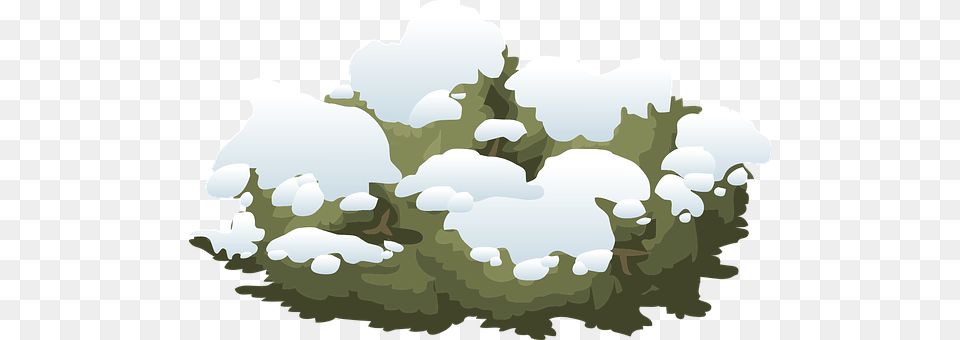 Bush Nature, Outdoors, Sky, Weather Png Image