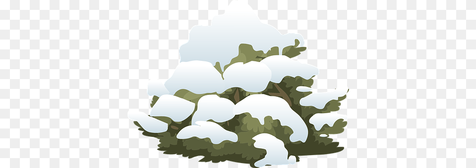 Bush Nature, Outdoors, Sky, Ice Png Image