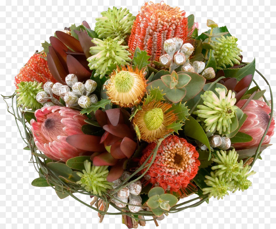 Bush Beauty Australian Native Flowers, Flower Bouquet, Plant, Flower, Flower Arrangement Png Image