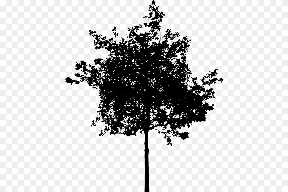 Bush Black And White Plus Small Tree Silhouette, Plant, Oak Free Transparent Png