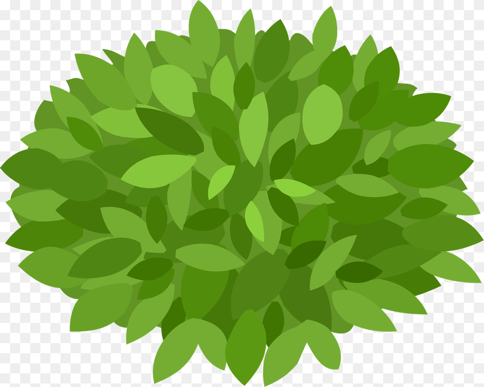 Bush Clipart, Green, Herbs, Leaf, Plant Free Png Download