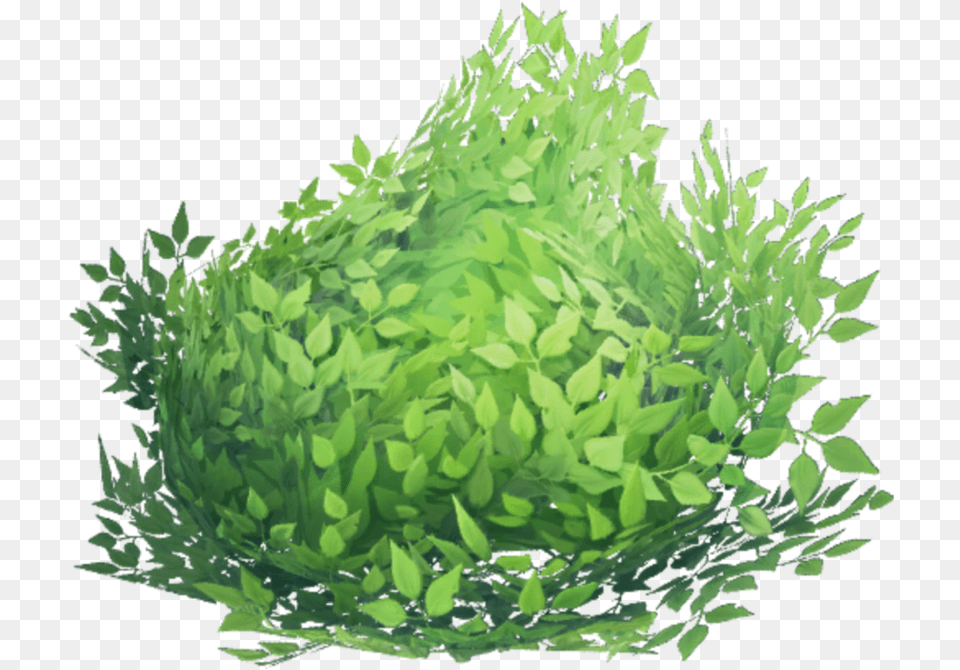 Bush Fortnite Fortnitebush Bush Fortnite, Grass, Green, Leaf, Moss Png