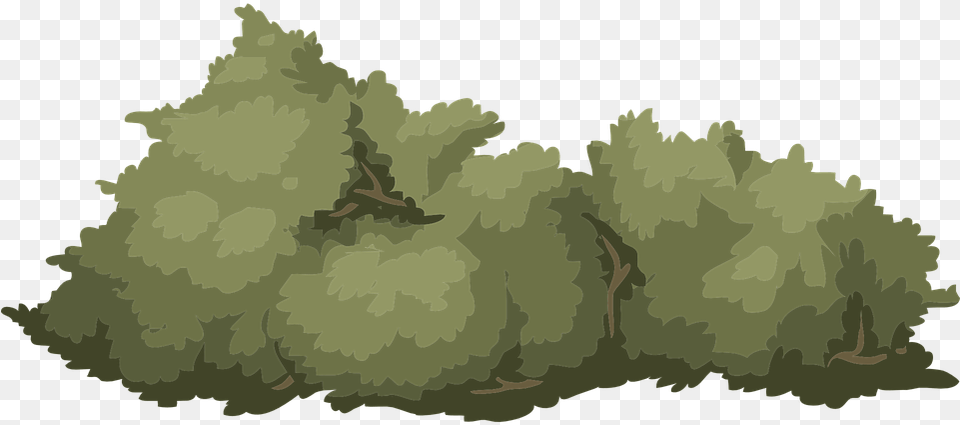 Bush Illustration, Plant, Vegetation, Tree, Nature Free Transparent Png