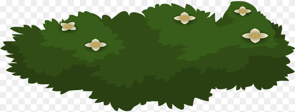 Bush Plant Flowers Vector Graphic On Pixabay Bushes Clipart, Anemone, Flower, Green, Leaf Png Image
