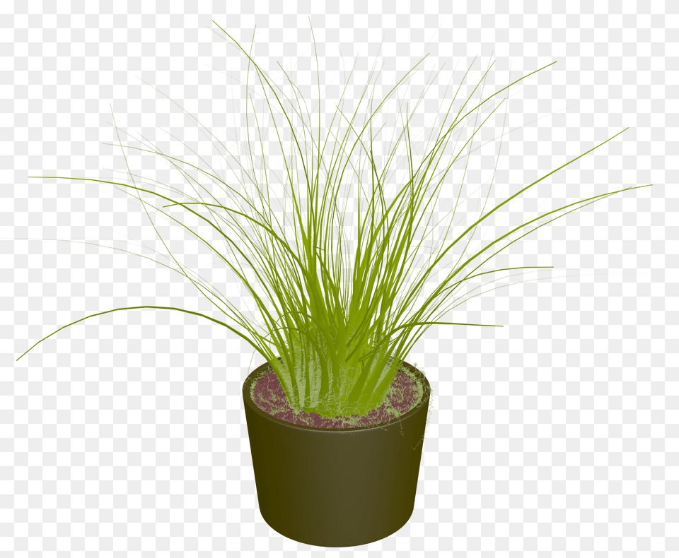 Bush Pot Plant Clipart Picture, Grass, Potted Plant, Vase, Pottery Free Png