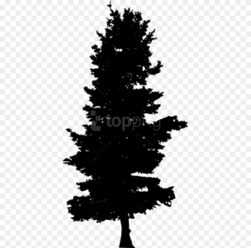 Bush Silhouette Clipart Black And White, Fir, Plant, Tree, Pine Png