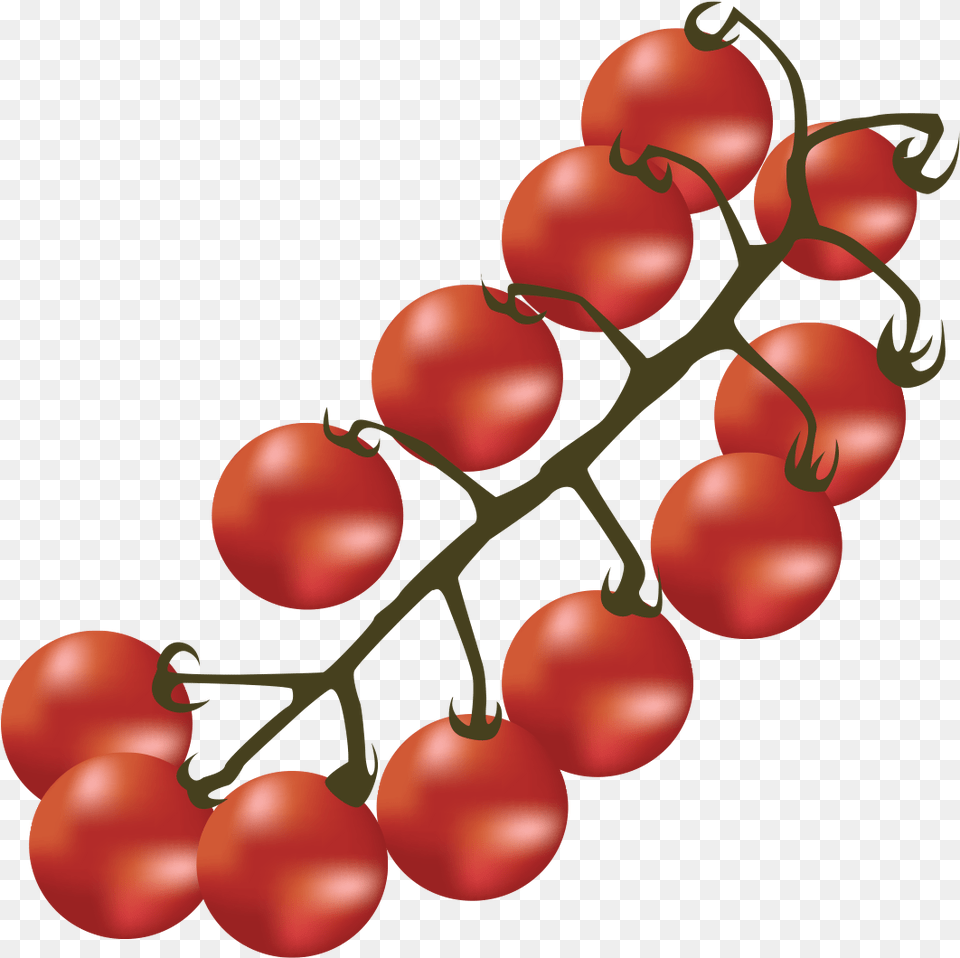 Bush Tomato, Food, Plant, Produce, Vegetable Png