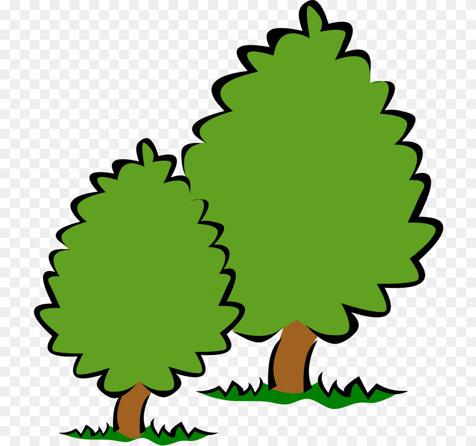Bush Tree Clipart Black And White Bush Tree Trees Clipart Transparent Background, Green, Leaf, Plant, Conifer Free Png