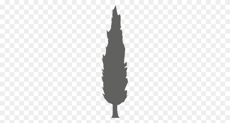 Bush Tree Silhouette, Grass, Plant Free Transparent Png