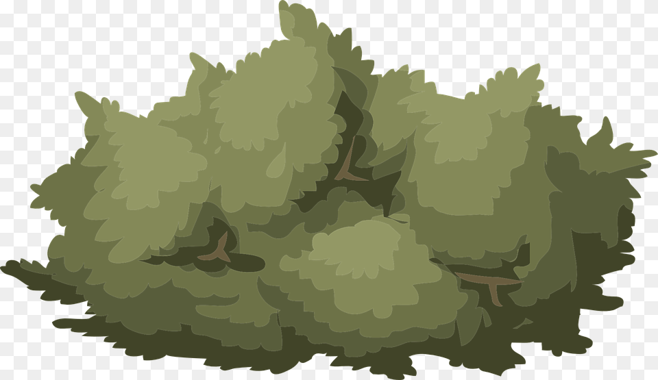 Bush Vector, Plant, Tree, Vegetation, Green Png