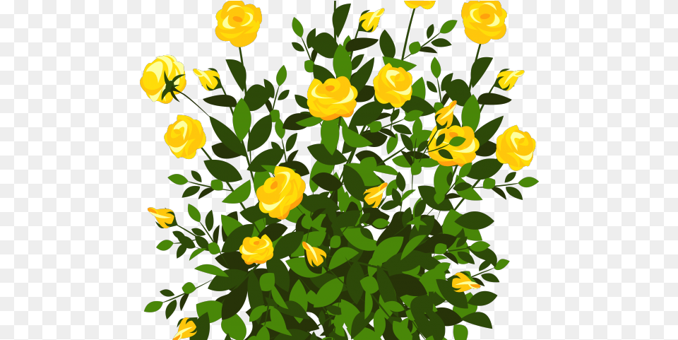 Bushes And Flowers, Flower, Petal, Plant, Rose Free Transparent Png